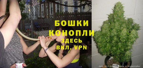 дмт Переславль-Залесский