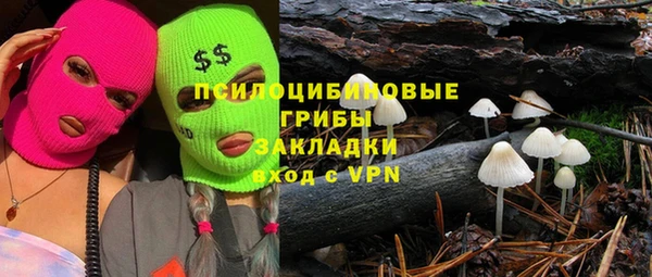 a pvp Пестово