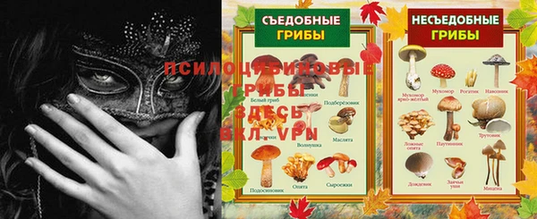 дмт Переславль-Залесский
