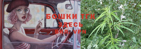 шишки Удомля