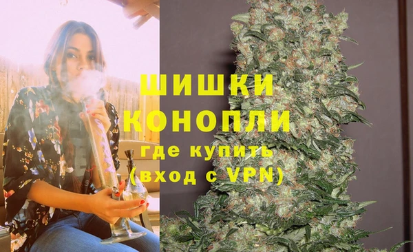 дмт Переславль-Залесский