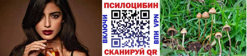 Псилоцибиновые грибы Psilocybe  закладки  блэк спрут ссылка  Тында 