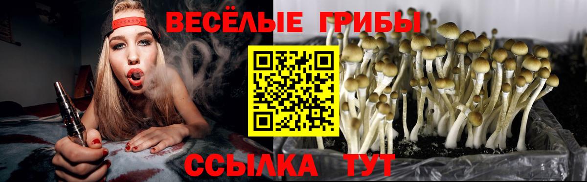Псилоцибиновые грибы Psilocybe  Галлюциногенные грибы мухоморы  дарнет шоп  Вход с VPN  Тында 
